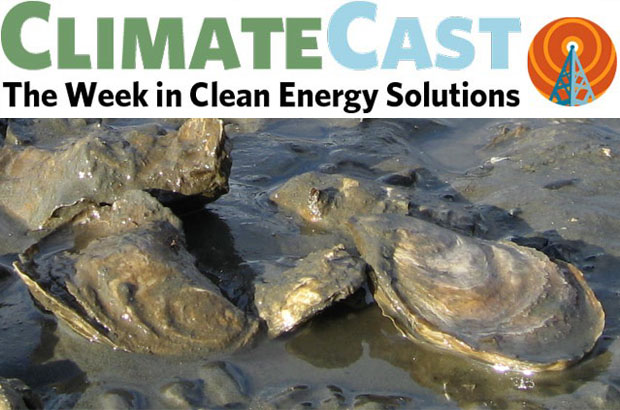 ClimateCast Logo over oysters in mud