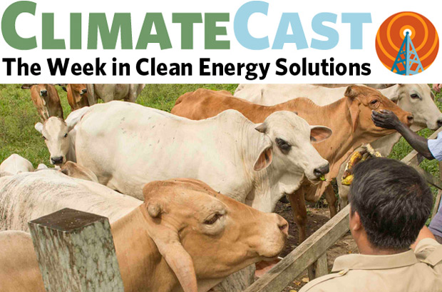 ClimateCast logo about photo of cows and person