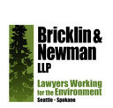 Bricklin-Newman logo