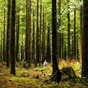 Ecotrust Forest Management NBI