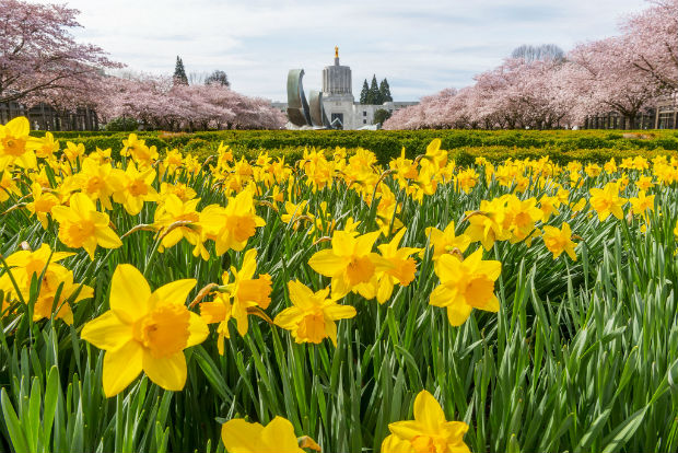 Oregon Capitol in spring