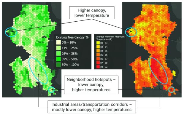 Maps of Seattle's tree canopy and heat islands