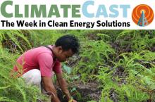 ClimateCast logo above man replanting rainforest tree in Kalimantan, Indonesia