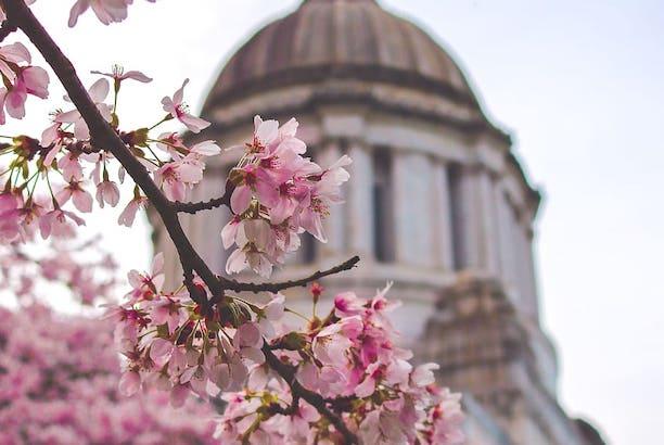 Washington Legislates Our Climate Priorities For 2024 Climate Solutions   Capitol Building Washington State 