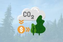 a graphic image with CO2 emissions, an arrow into dollar signs, and trees/forest